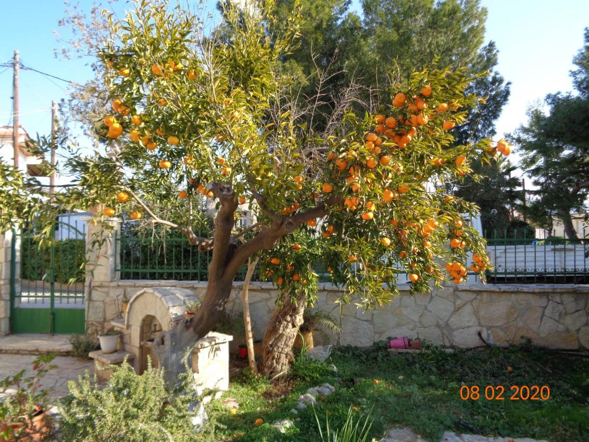 Traditional Guesthouse Asimakis Anifion מראה חיצוני תמונה