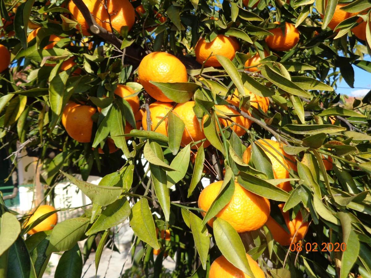 Traditional Guesthouse Asimakis Anifion מראה חיצוני תמונה