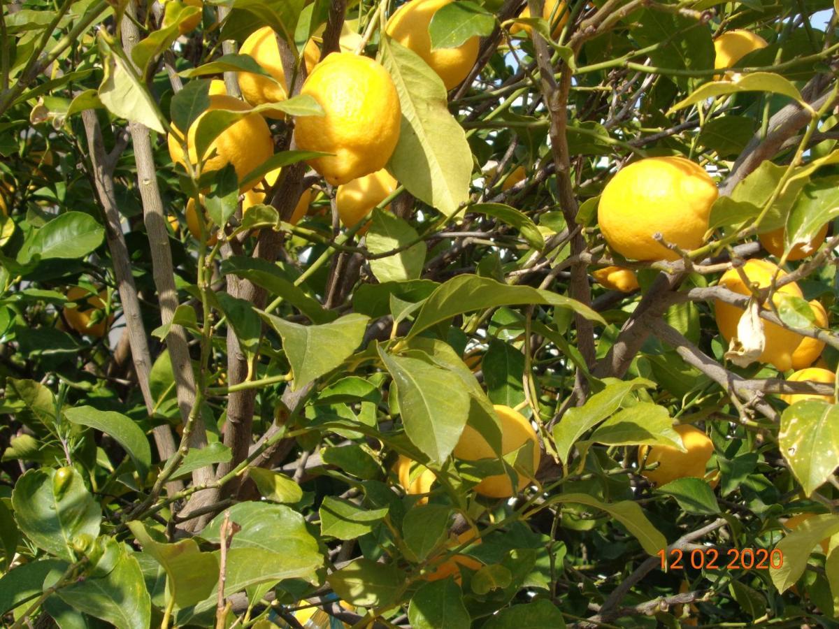 Traditional Guesthouse Asimakis Anifion מראה חיצוני תמונה